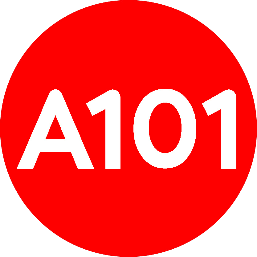 А101
