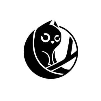 Owlcat Games