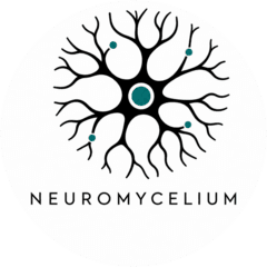 NEUROMYCELIUM
